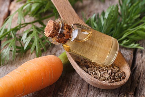 Organic Carrot Seed Oil