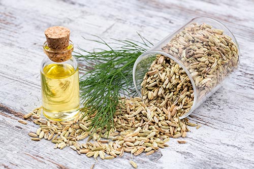 Organic Fennel Oil